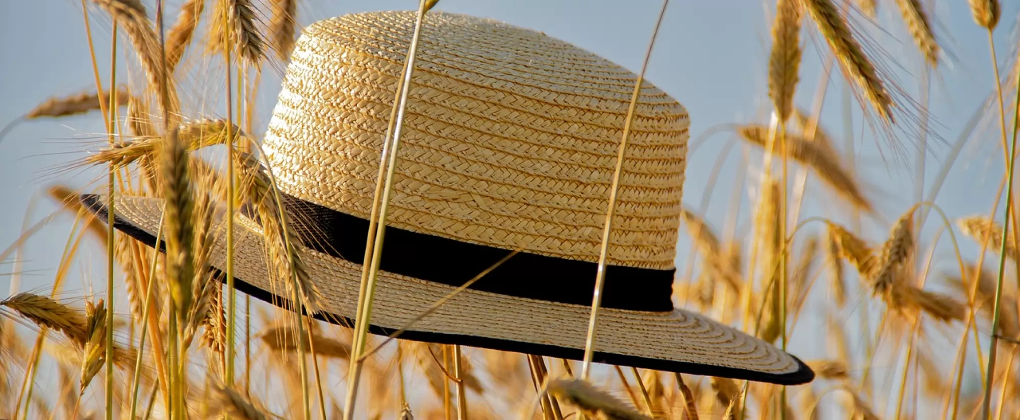 Sastanci tijekom ljetnih mjeseci